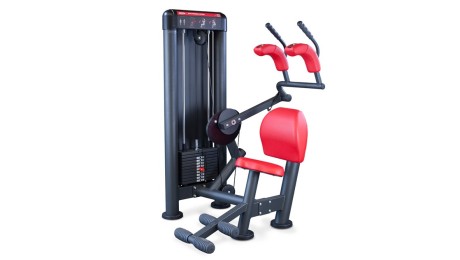 Panatta Upper Abdominal Machine