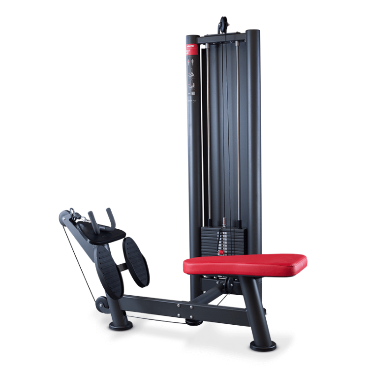 Panatta Pulley Row Machine