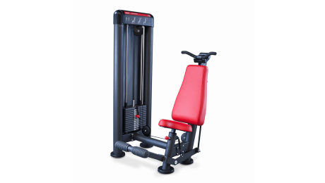 Panatta Triceps Machine