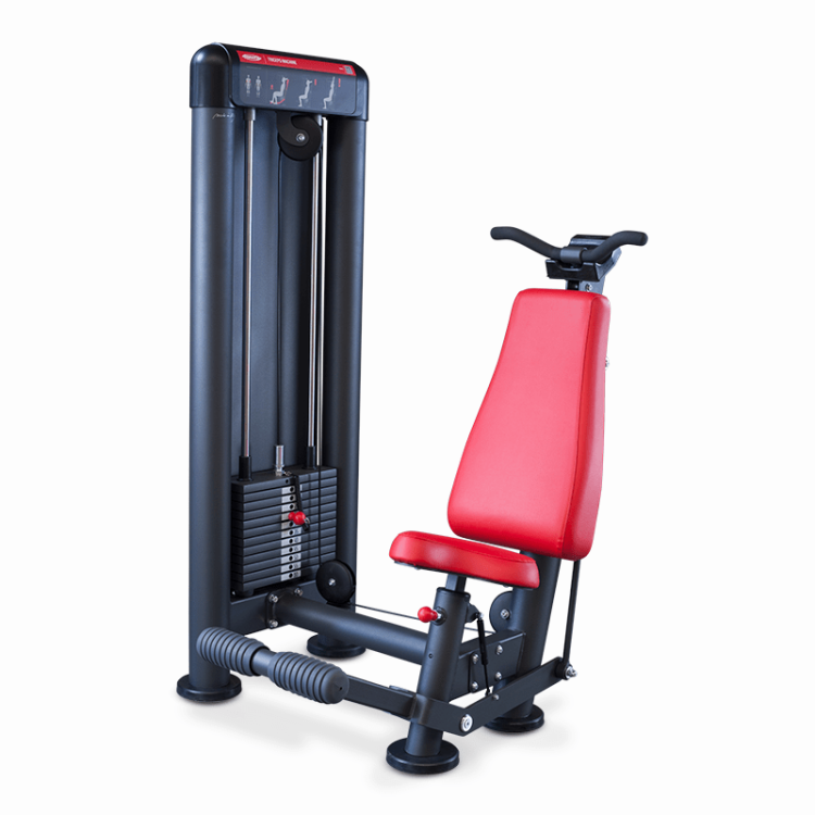 Panatta Triceps Machine