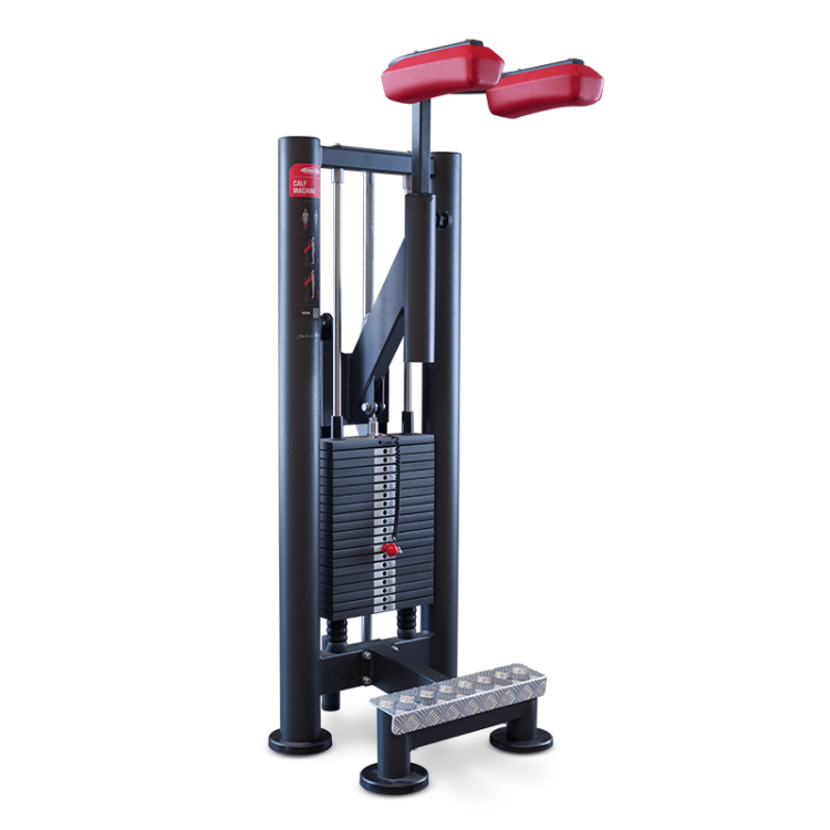 Panatta Standing Calf Machine