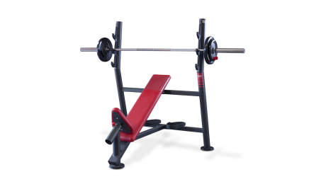 Panatta Olympic Inclined Bench