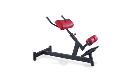 Panatta Iperextension 45° Bench