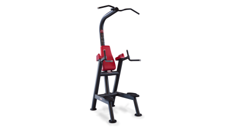 Panatta Chin Up and Dip Station