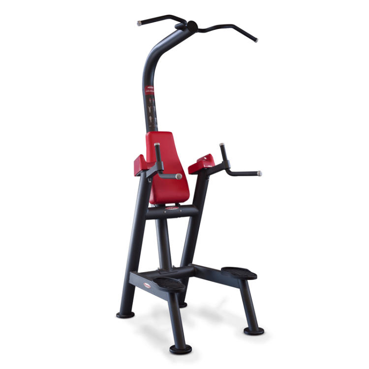Panatta Chin Up and Dip Station