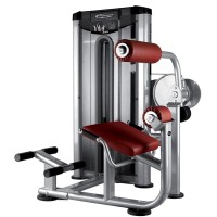 BH Fitness Lower Back Machine L510