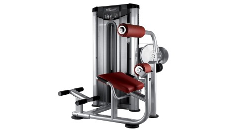 BH Fitness Lower Back Machine L510