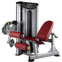 BH Fitness Seated Leg Curl L170