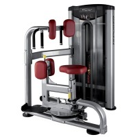 BH Fitness Rotary Torso L430