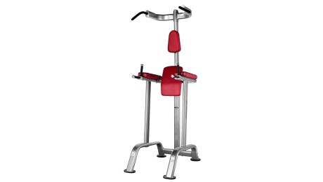 BH Fitness Chin Up and Dip Station L900