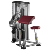 BH Fitness Biceps / Triceps L140