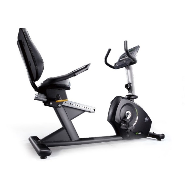 ION Fitness Recumbent Bike IR703