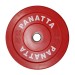 Panatta Coloured Rubber Bumper Olympic Weight Plates