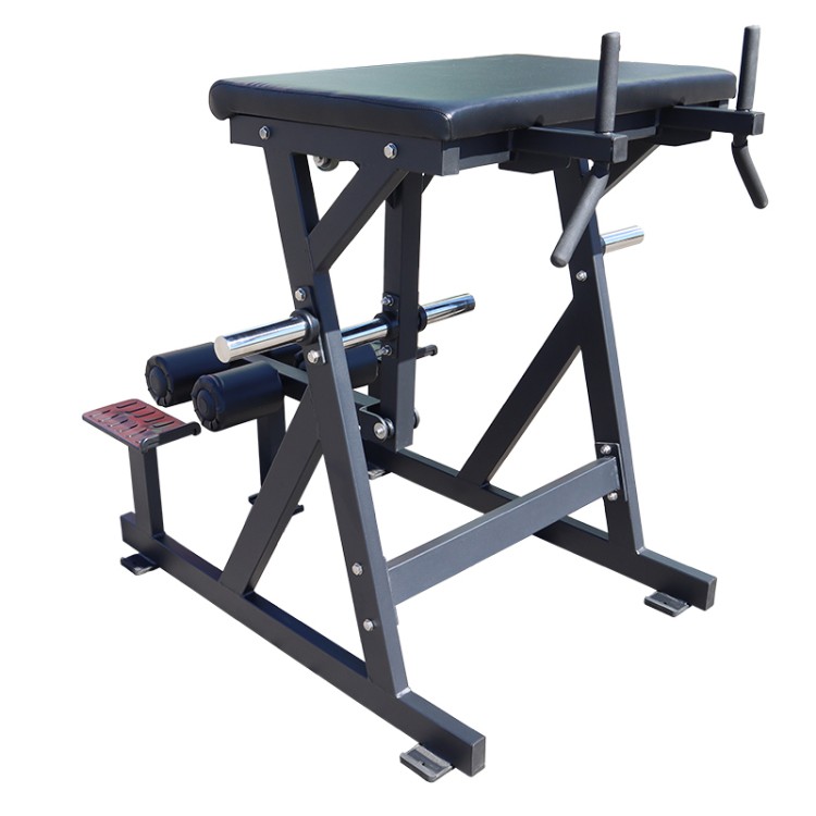 Southern Reverse Hyper