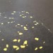 Southern Durable EPDM Rubber Flooring Tile