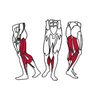 Muscles Targeted are the Hamstring and Calf Muscles