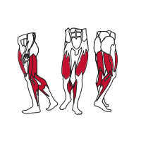 Muscles Targeted are the Glutes, Calf and Quad Muscles