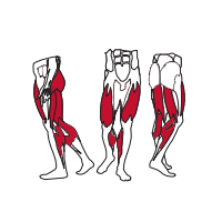 Muscles Targeted are the Calf, Glute and Quad Muscles