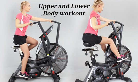 Upper and Lower Body Workouts