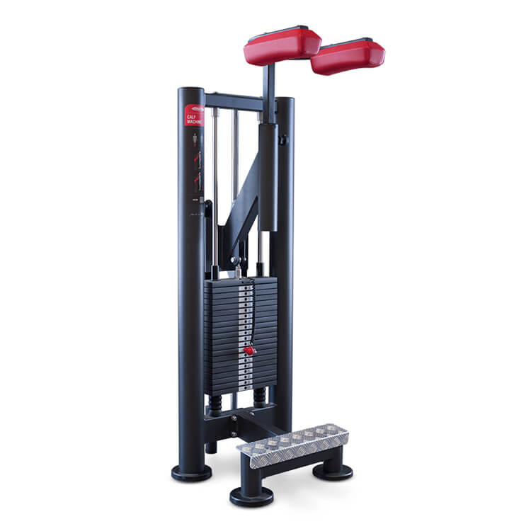 Standing Calf Machine